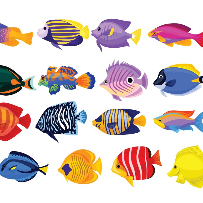 fische-1.jpg